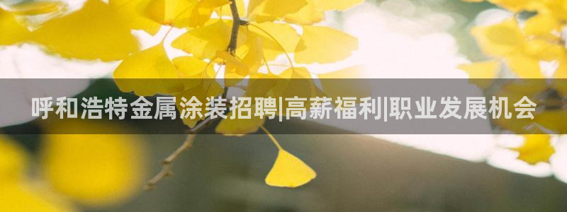 美高梅酒店澳门图片
