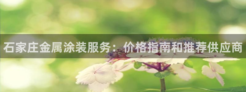 美高梅狮王会员卡