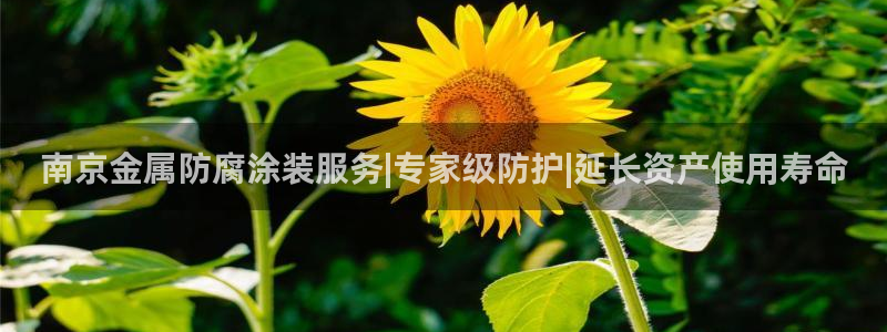 美高梅现在由谁在经营