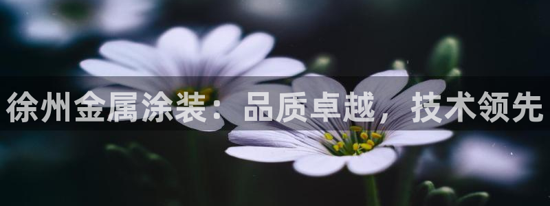 美高梅黑卡条件