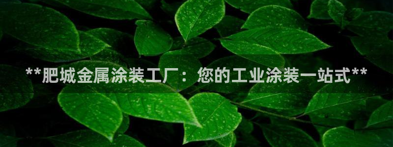美高梅儿童早餐多钱