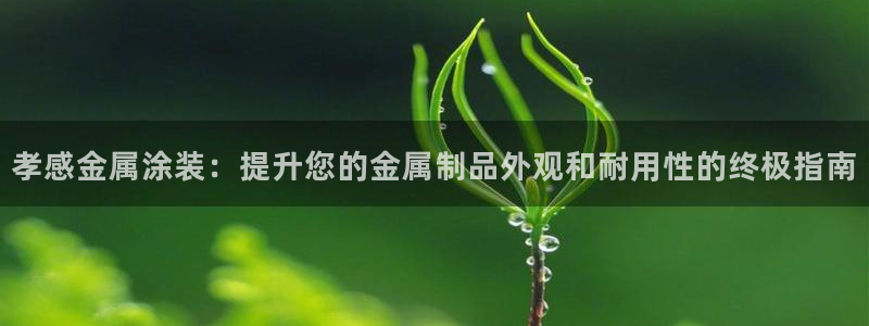 美高梅大酒店在哪里