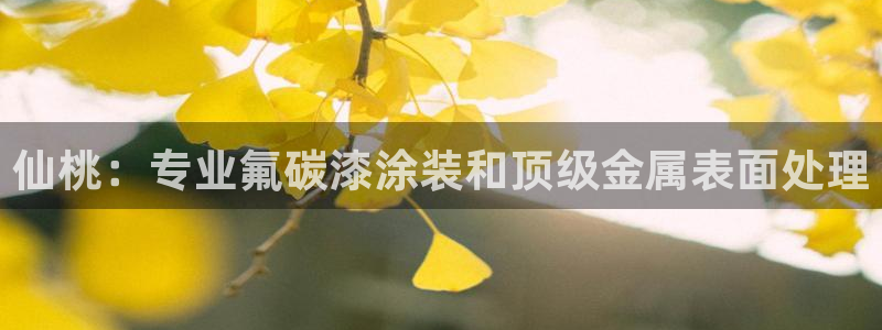 美高梅几星级酒店?