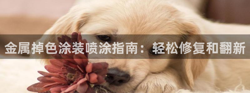 美高梅大酒店是那个