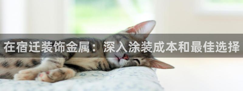 美高梅卡颜色等级