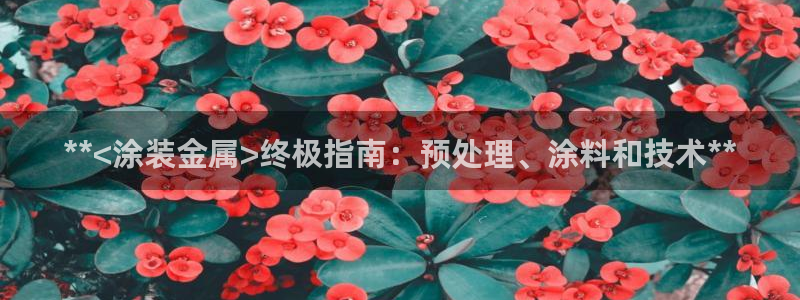 美高梅北京塞车