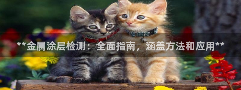 美狮美高梅酒店会员