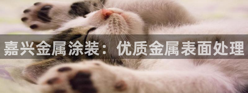 美狮美高梅商场