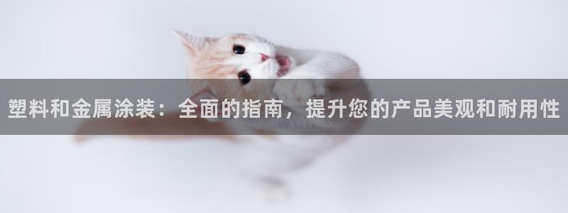 美高梅酒店何超琼
