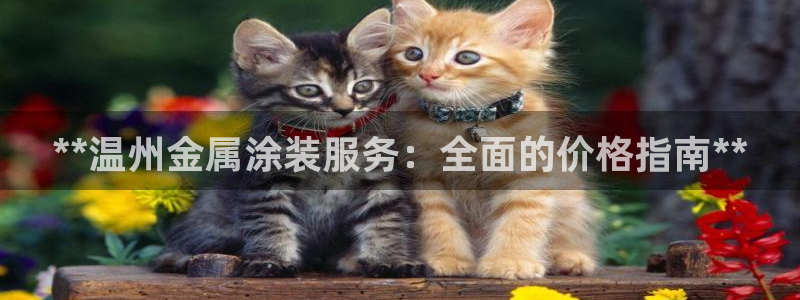 美高梅游戏攻略