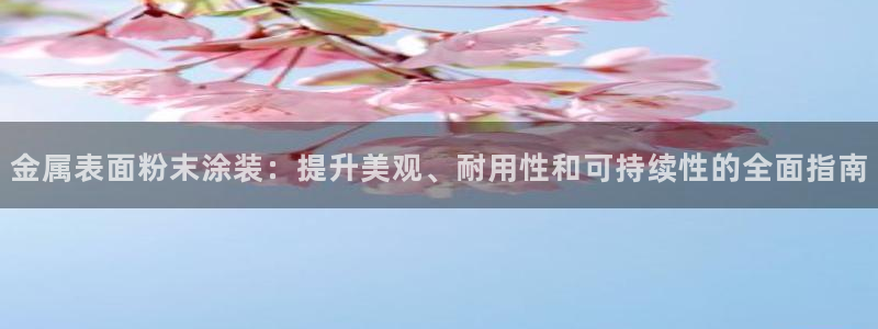 美高梅会员卡等级图片