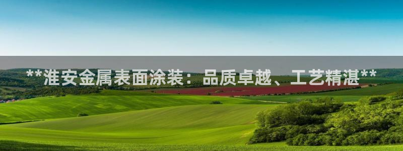 美高梅酒店入住率