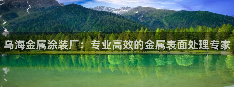 美高梅全球几家