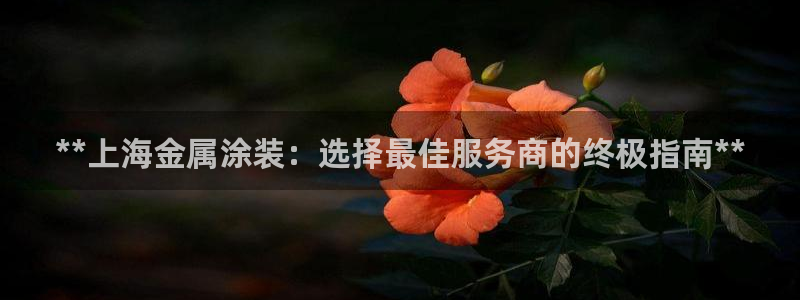 美高梅公司