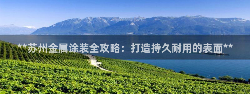 美高梅酒店ka秀价格