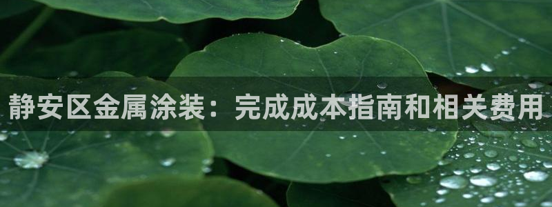 美狮美高梅酒店简介淳餐厅