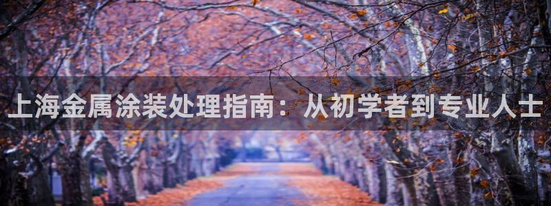 美高梅中国有限公司