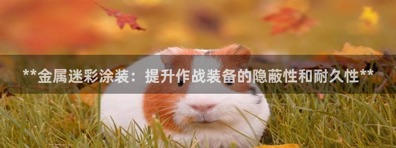 美高梅酒店出名吗
