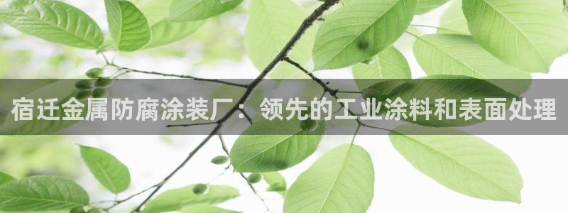 美高梅会员卡怎么用