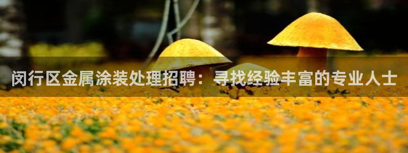 美高梅公司是做什么的