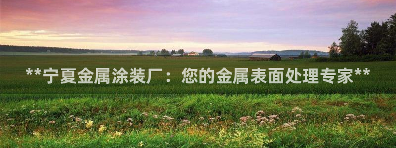 美高梅是干什么的