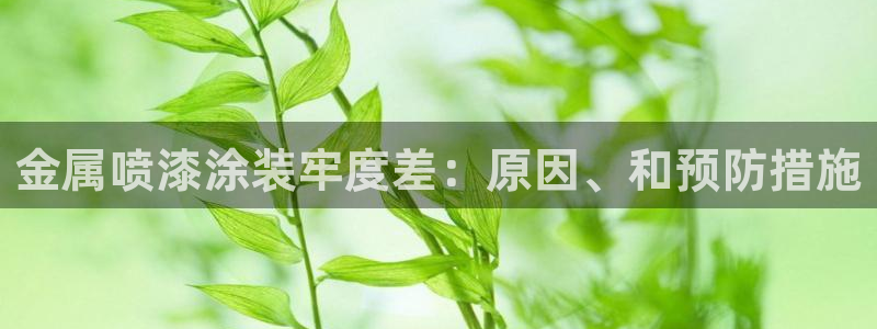 美高梅酒店房卡
