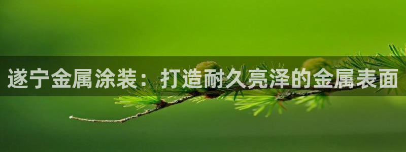 02282美高梅股票