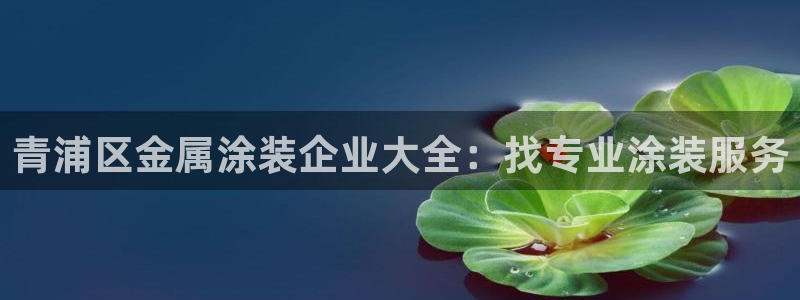 美高梅儿童托管收费吗