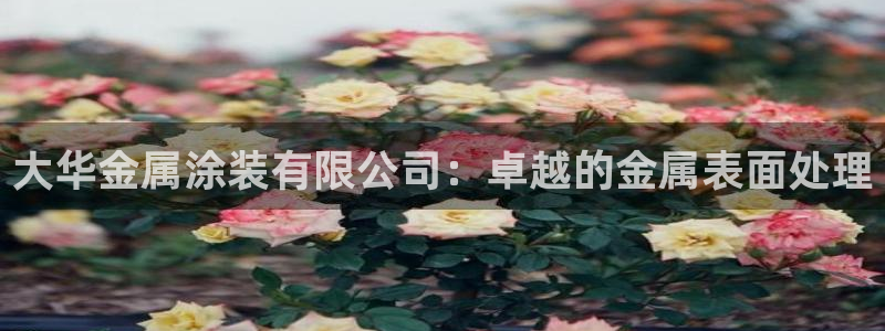 美高梅大酒店有多少分店