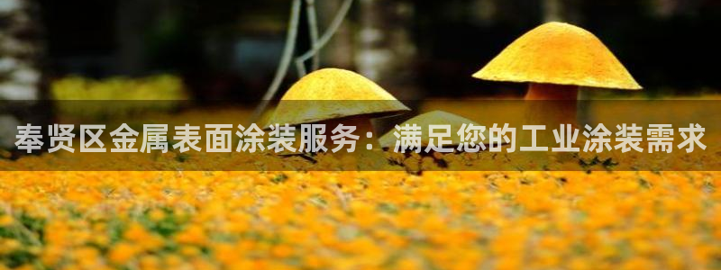 美高梅会员卡免费吗
