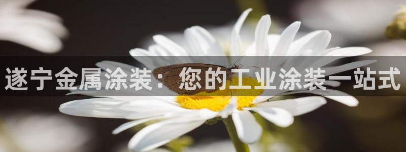美高梅是谁的