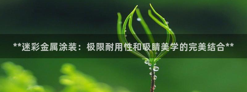 美高梅别墅北京
