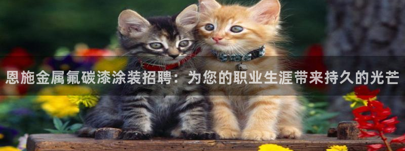 美狮美高梅酒店飞鱼表演时间