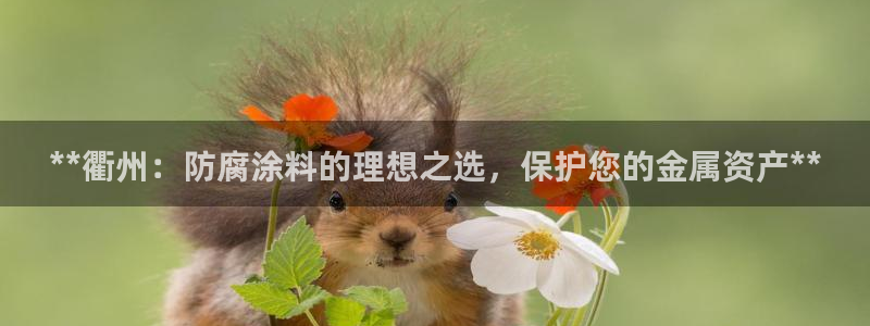 美高梅哪个集团