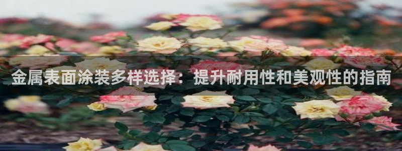 美高梅现在改名叫什么了