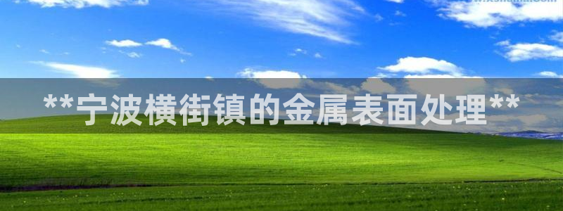 美高梅大酒店有多少分店