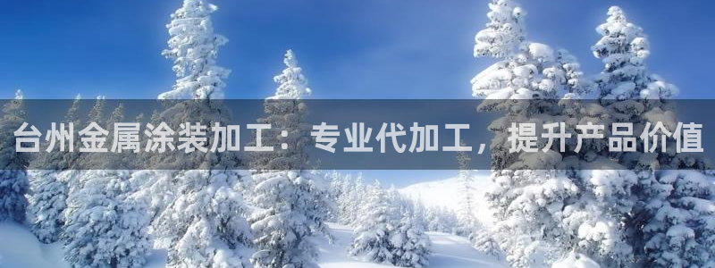 美高梅酒店年卡自助