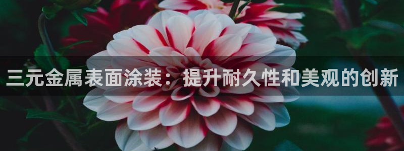 美狮美高梅酒店前台