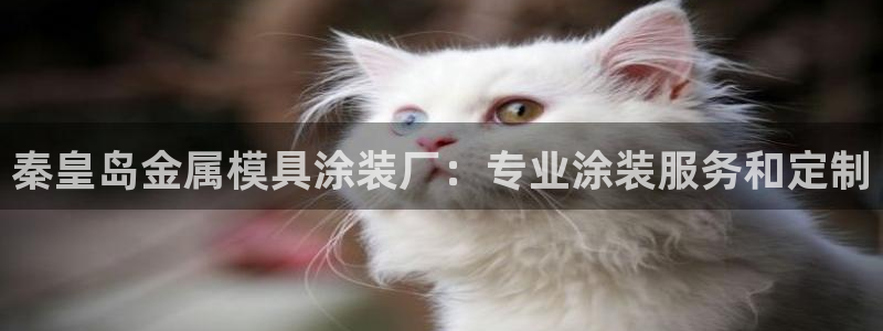 美狮美高梅酒店股东