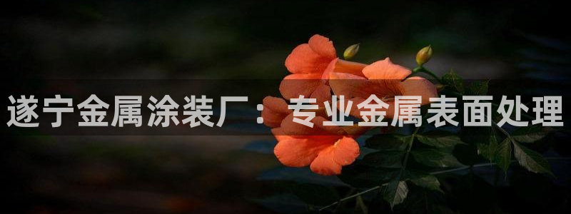 美高梅酒店澳门图片