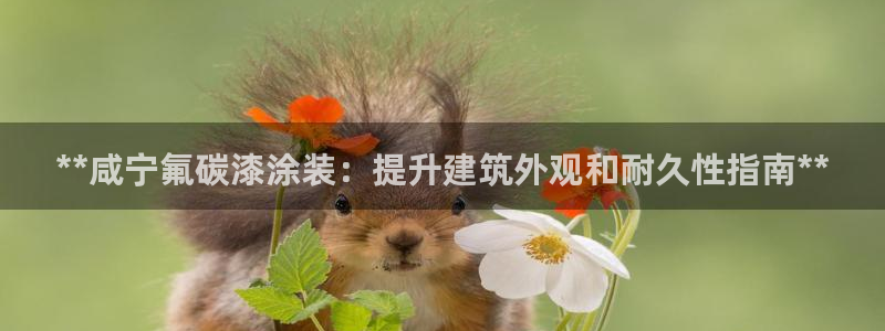 美高梅酒店填海