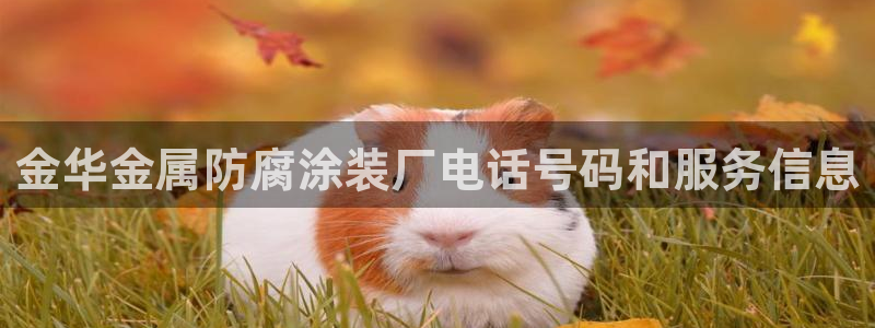 美高梅酒店青岛自助