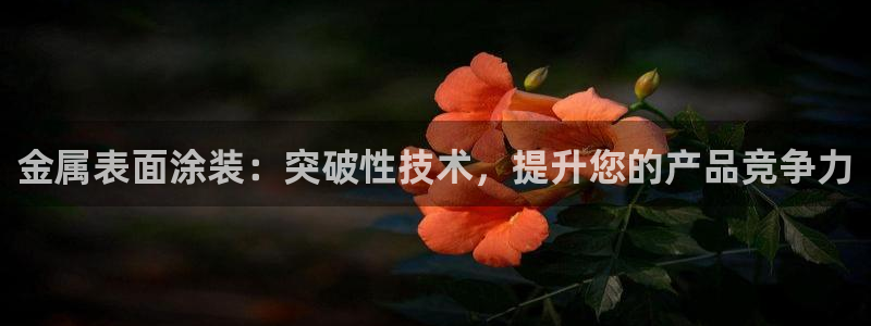 美高梅会员卡当天办可以吗