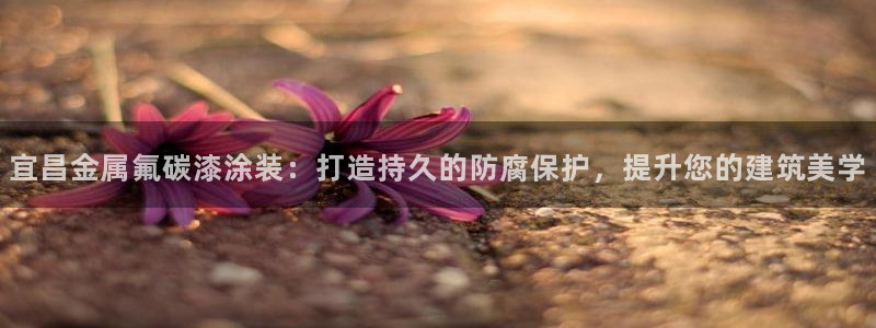 美高梅净利润