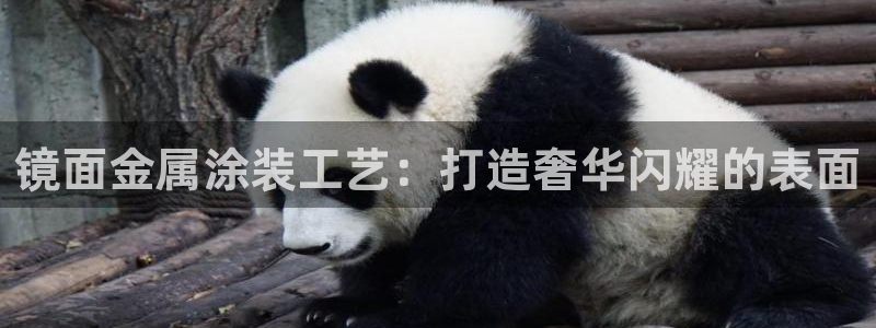 美高梅卡颜色等级