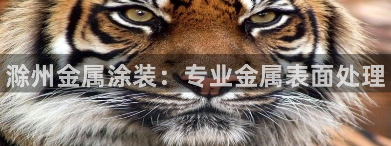 美高梅酒店工资怎么样