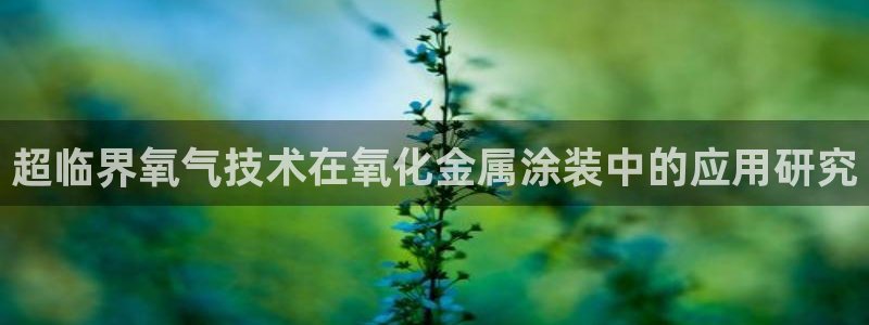 美高梅客服联系方法是什么