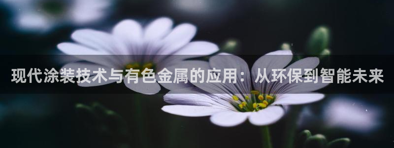 美高梅是谁的资产