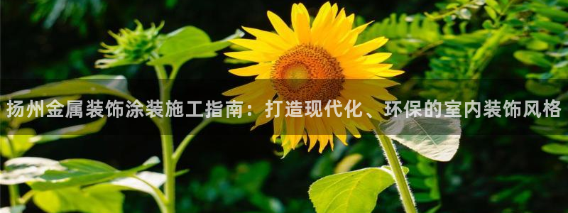 美高梅开业时间