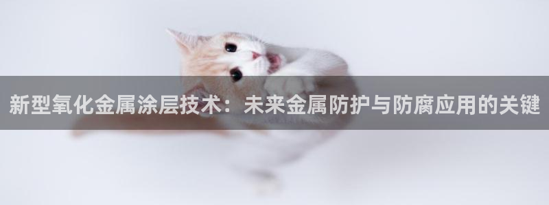 美高梅大酒店招聘
